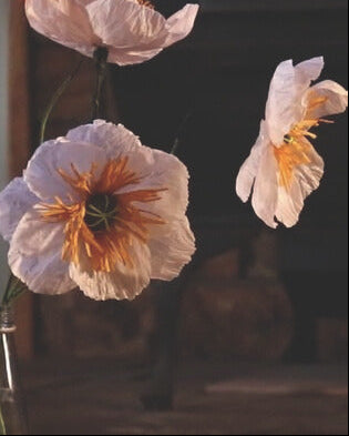 Everlasting Flower for Our Lady; Paper Flower Making Kit